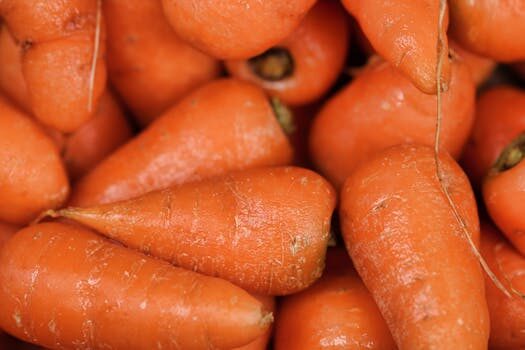 Best companion plants for carrots: herbs, flowers and veg to grow with carrots