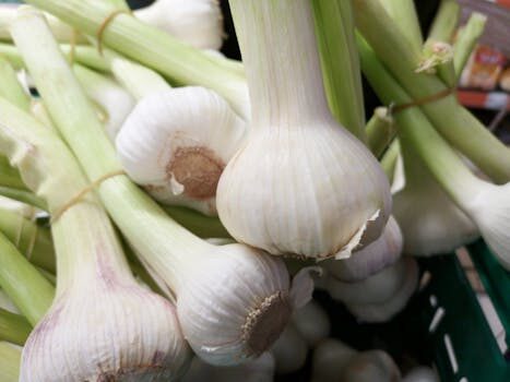 Best companion plants for onions: use these flowers, herbs and vegetables for better onion crops