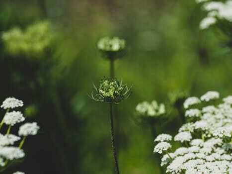 Best plants for bathrooms: 8 indoor plants for humid spaces
