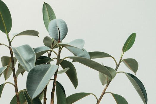 Best rabbit-repellent plants: 14 top choices for your garden