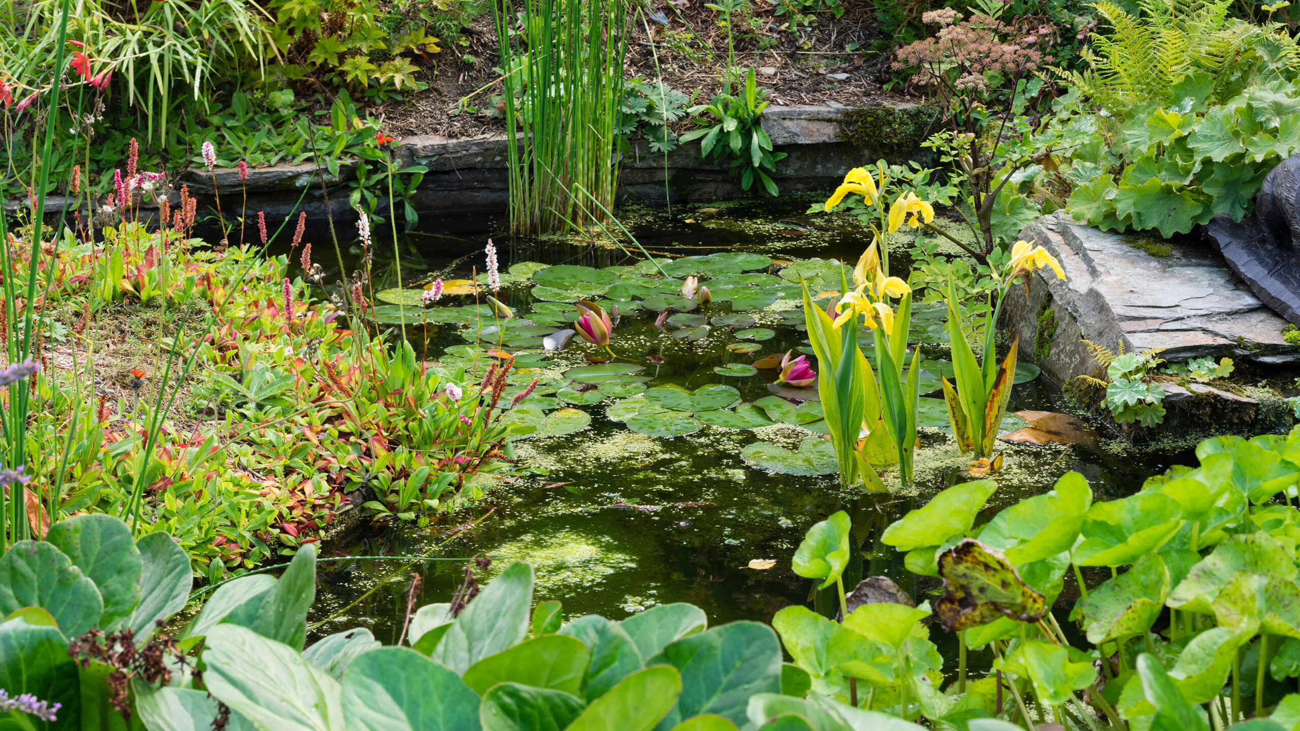 Budget pond ideas: 14 ways to create a stunning water feature for less