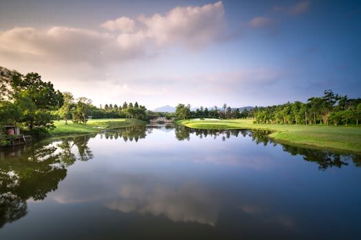 Budget pond ideas: 14 ways to create a stunning water feature for less
