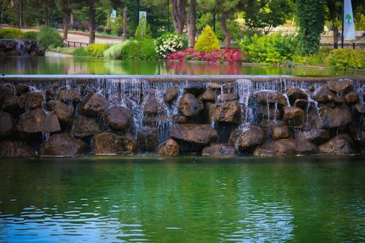 Budget pond ideas: 14 ways to create a stunning water feature for less