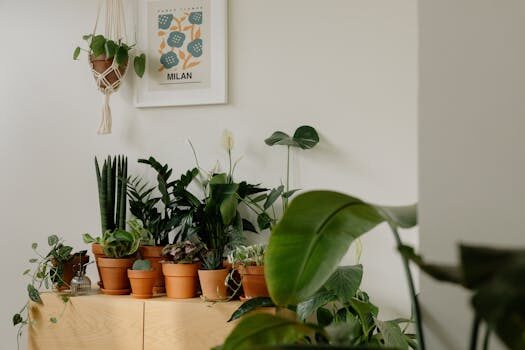 Calathea plant care and growing guide: top tips for these popular houseplants