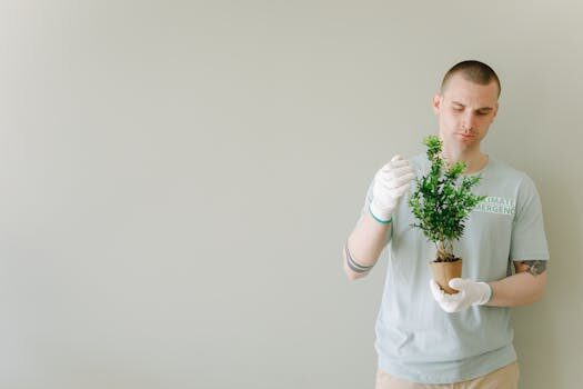Calathea plant care and growing guide: top tips for these popular houseplants