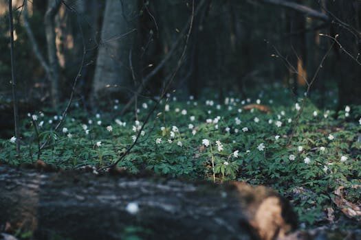 Crabgrass vs quackgrass &#8211; tell these lawn invaders apart with this easy tip