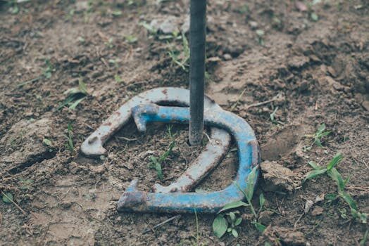Crabgrass vs quackgrass &#8211; tell these lawn invaders apart with this easy tip