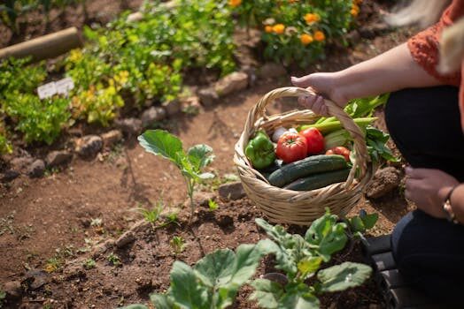 Cucumber diseases and pests: 5 common issues and how to resolve them