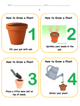 How to grow a peach tree from a pit: tips for planting stone fruits