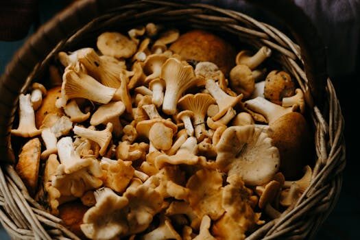 How to grow mushrooms: our expert guide to making fabulous fungi