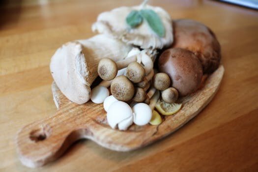 How to grow mushrooms: our expert guide to making fabulous fungi