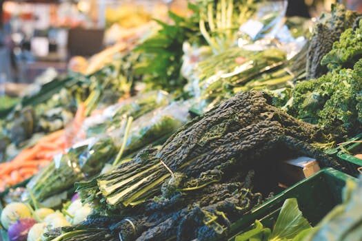 How to harvest lettuce so it keeps growing: top tips for more salad leaves