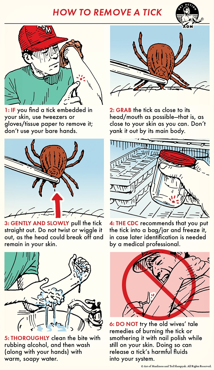 How to remove a tree stump: follow our practical guide