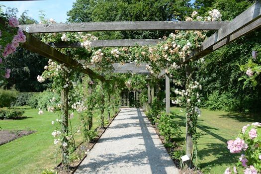 Roof ideas for pergolas – including retractable designs: 11 looks for your yard