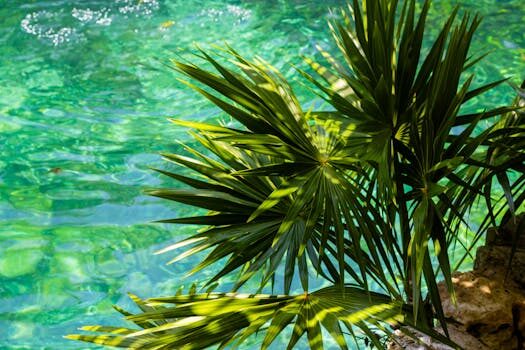 Stock tank pool ideas: 15 stylish ways to take the plunge