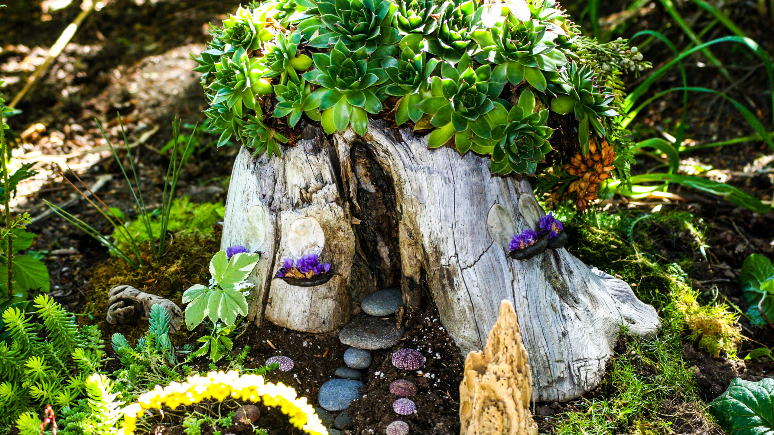 Tree stump ideas: 9 creative ways to give them a new lease of life