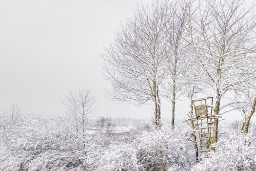 Treehouse ideas: 13 adventurous hideaways your kids will love