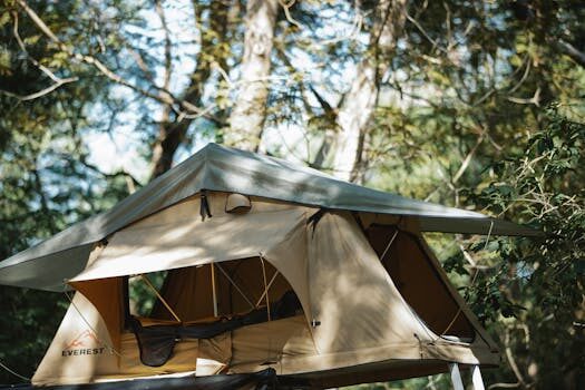 Treehouse ideas: 13 adventurous hideaways your kids will love