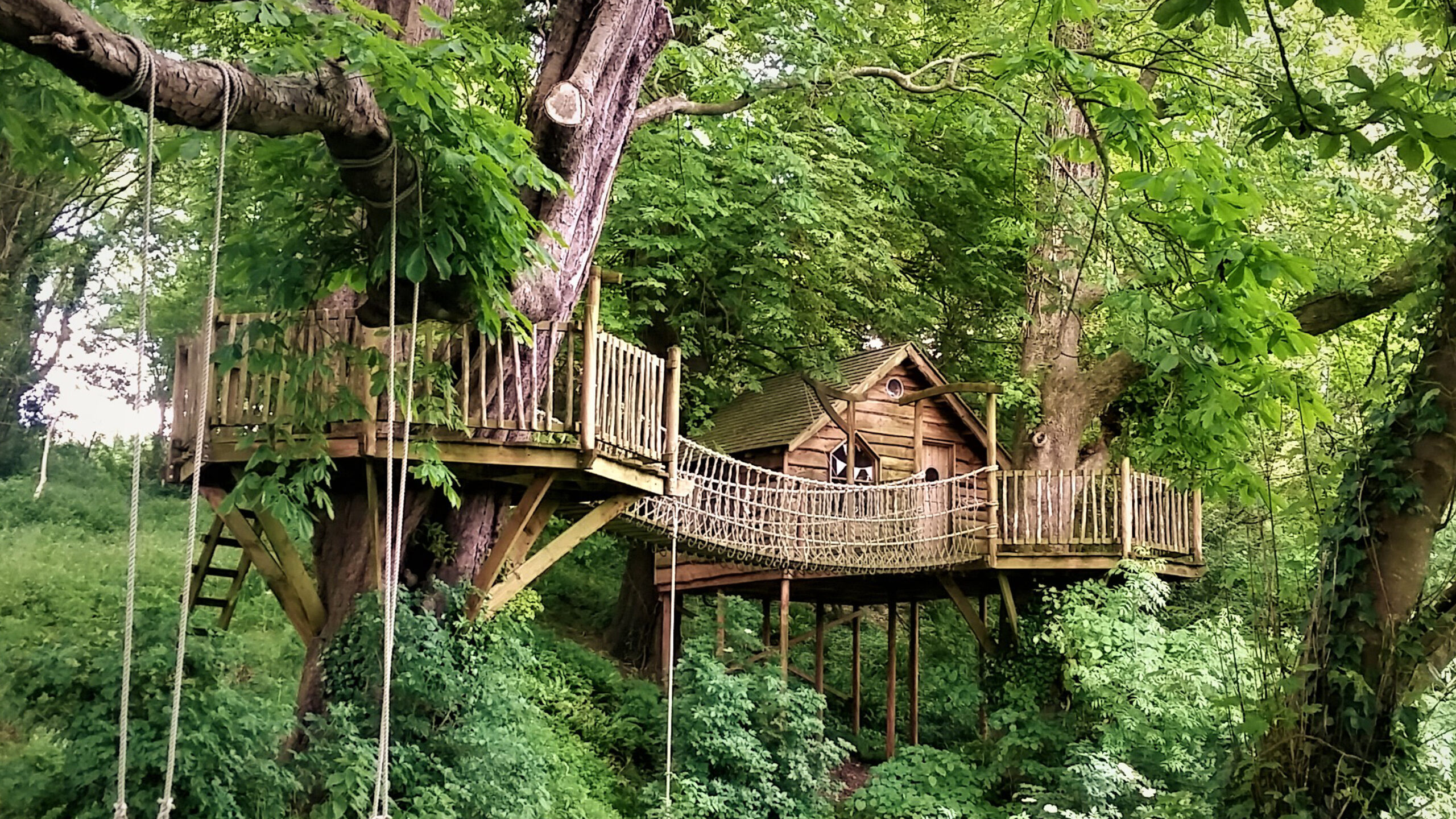 Treehouse ideas: 13 adventurous hideaways your kids will love