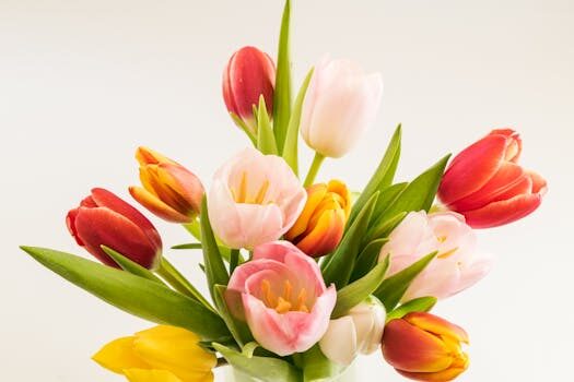 Types of tulips: 21 stunning varieties for your garden