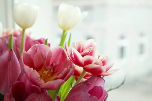 Types of tulips: 21 stunning varieties for your garden