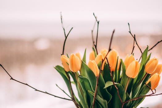 Types of tulips: 21 stunning varieties for your garden